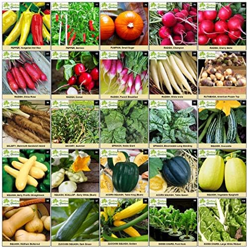 Garden Vegetable Seeds Variety Pack for Planting - Производството на 125 сортове фамилни зеленчуци без ГМО Бързото поникване