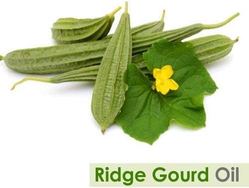 Ridge Gourd Carrier Oil (Lufa Acutangula) Pure & Natural - Неразбавленное неразрезанное масло студено пресовано (500