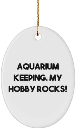 Забавни Аквариум Подаръци, Аквариум подаръци. My Hobby Rocks!, Празничен Яйцевиден орнамент за съдържанието на аквариума