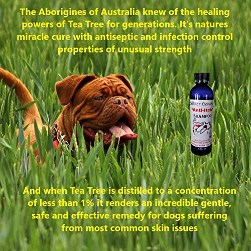 Натурален кучешки шампоан за Суха Сърбеж по чувствителна кожа - Формула за облекчаване на алергии. Куче на ваната за мръсни