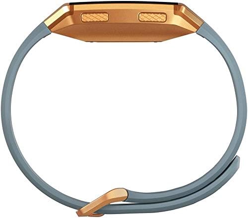 Ionic GPS Smartwatch, един размер (S & L ленти са включени) (Slate Blue/Burnt Orange)