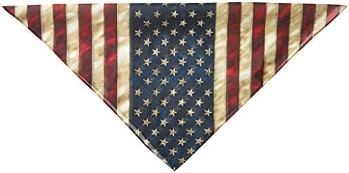 Гореща кожа Унисекс-Възрастен Проблем Американски флаг шарена Кърпа (Многоцветен, 21 x 21)