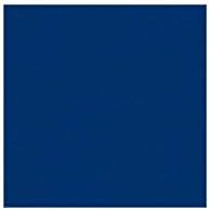 Rosco Roscolux Blue, 20x24 Светофильтр с цветови ефекти