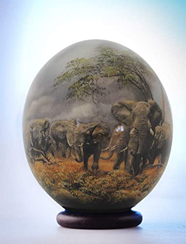 Ноември слоновье страусиное яйце