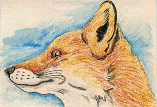 ACEO ATC Оригиналния чертеж-Red Fox Wildlife Art-Carla Smale