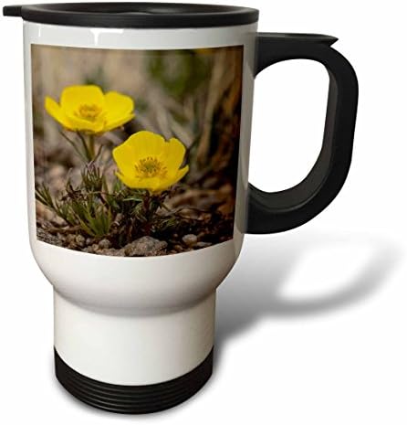 3dRose Snow Buttercup, Yellow Alpline Wildflower -Frank Zurey, Пътна чаша от неръждаема Стомана, 14 грама
