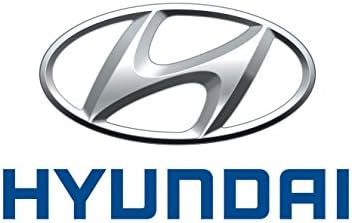 Истински Hyundai 87610-3L010 Огледалото за обратно виждане В Събирането, Външно, на Дясното