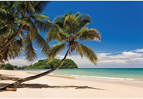 Eainb Тропическа Тема Пейзаж Фонове Синьо Небе Плаж на Фона на Зелено Растение Снимки, Фонове За Възрастни Пътуване Снимка