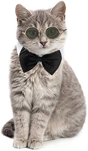 Папийонка за домашни любимци Регулируема Официално Шийната Яка Вратовръзка и Стилни, Забавни Прекрасни Слънчеви очила