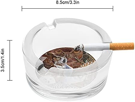 Намери Сови Цигари Пушачите Стъклени Пепелници Пепелник За Домашния Офис, Тенис На Маса Украса