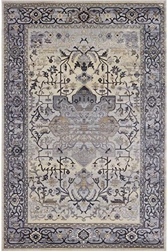 Pierre Cardin Cosmos Collection Oriental Design Area Rugs for Living Room Carpets (8 x 10, Multi (CS18A))