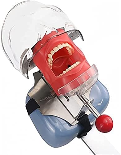 3ZH Triumph Модел Стоматологичен Манекен Фантомна Глава с Симулатор на Зъба, Студентска Практика на Главата Мухъл, Регулируема