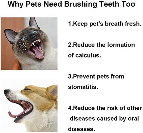 HanryDong Cat Четка за Зъби с Мини-Мека Глава, ПАТ Зъби Дълбоко Чисти Плътна Четка, Безопасна и Ефективна Грижа За Устната