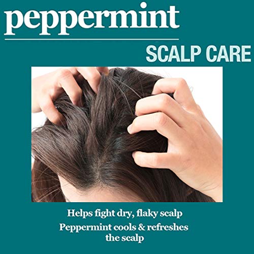 Difeel Peppermint Scalp Care Shampoo 12 унции.