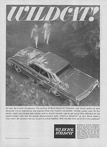 Обява във вестник: 1963 Buick Дива котка, 4-врати, хардтоп, 401 клапана на цилиндър, с двигател V-8, 325 с. л.,Всичко ново! Всички мускули! Целият Блясък! Дива котка!