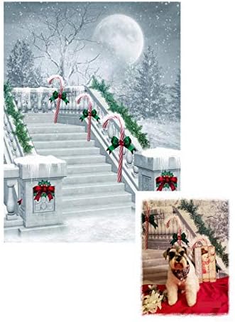 Leowefowa 5X7FT Коледен Фон Candy Cane Bowknot Pine Twig Лъчисти Луната Гора Сняг На Открито Зимна Сцена Каменна Стълба
