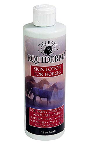(2 опаковки) Лосион за кожата на коня Equiderma за Дъждовна Гниене, трихофития, Пушечной кости Scurf с 10ct Пет Faves