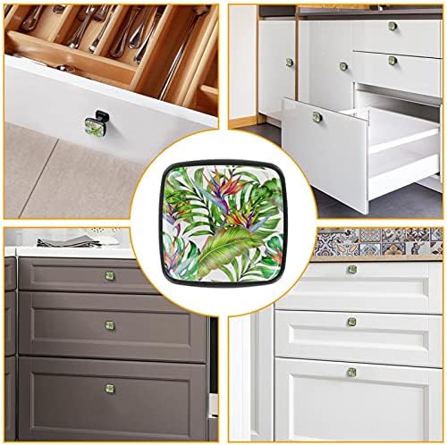 4-Piece Set Cabinet Knobs Beautiful Square Glass Drawer Handles Jungle Leaves Monstera Leaf Strelitzia for Drawer ,Cabinet