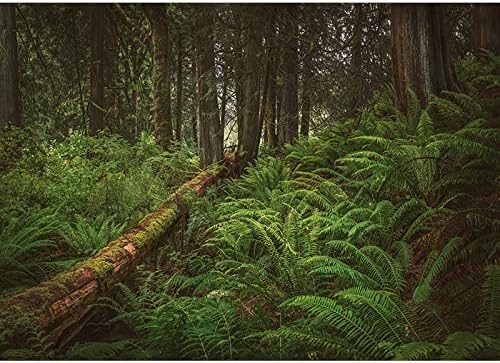 Зелена Гора на Природен Пейзаж Снимка Фон Пейзаж, Портрет Снимка Фон Студио Подпори A10 10x10ft/3x3m
