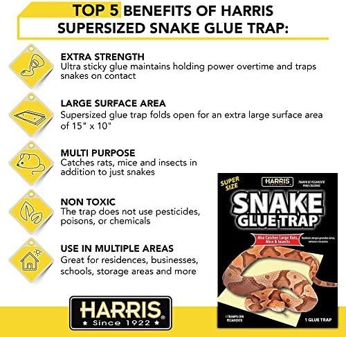 Капан Harris Snake Лепило Trap, Суперразмерная за Змии, Плъхове, мишки и насекоми (2 опаковки)