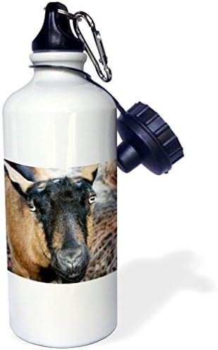 Спортна бутилка за вода 3dRose Oberhasli Коза, 21 унция, Кафяв