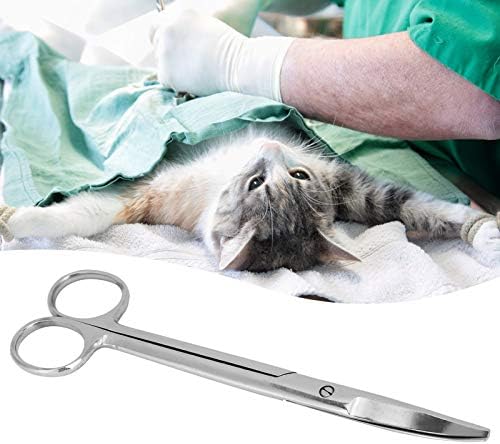 Ветеринарен Scissor, Scissor животински ферми, 18cm за животното котки за домашни любимци ферма