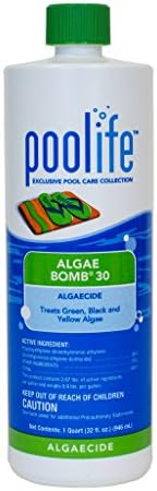 POOLIFE AlgaeBomb 30 (1 qt)