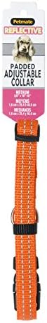 Aspen PET Products 0301954 Найлонов нашийник за домашни любимци, 3/8 на 10-16 см, Оранжево