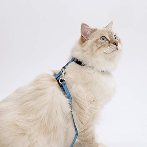 Catit Nylon Adjustable Cat Harness and Leash Set, Medium, Черен