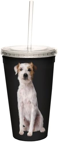 Tree-Free Greetings I Heart Parson Russell Terriers Artful Traveler Двухстенная Охладена чаша с многократно слама, 16 грама, Бяло и кафяво