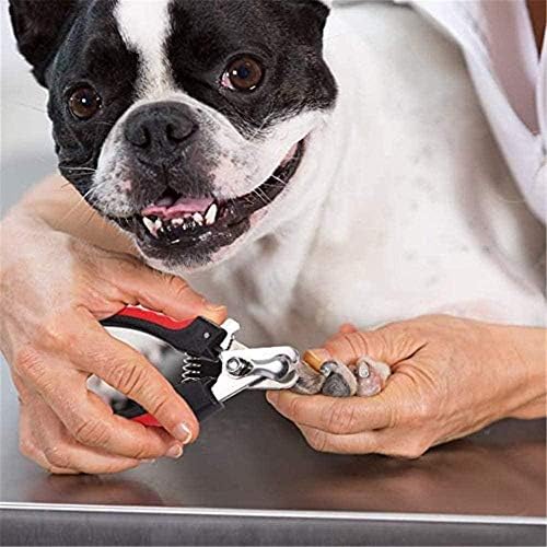FANPING 2 бр./компл. Пет Нокти Clipper Animal Claws with Sickle Stainless Steel Scissor Cut Kit Пет Нокти Clippers Dog