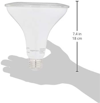 Basics Еквивалент 90 W, Дневна светлина, Не димиране, Срок на експлоатация 10 000 часа Led лампа PAR38 | 6-Pack