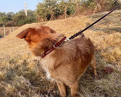 AWE WOLF Red Автентични Кожени Dog Leash with Small Dog Collar - 4FT Leash with 9.8 Inch Collar Strong and Soft Dog Leash
