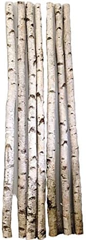 Wilson Enterprises Бели брезови стълбове, Натурални, Сушен в пещ, Бреза домашен интериор (в комплект с дължина 4, 6 фута
